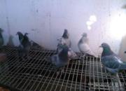 С�����飺�����������������