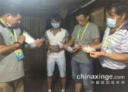 �������������ٹ��ʧ����(ͼ)