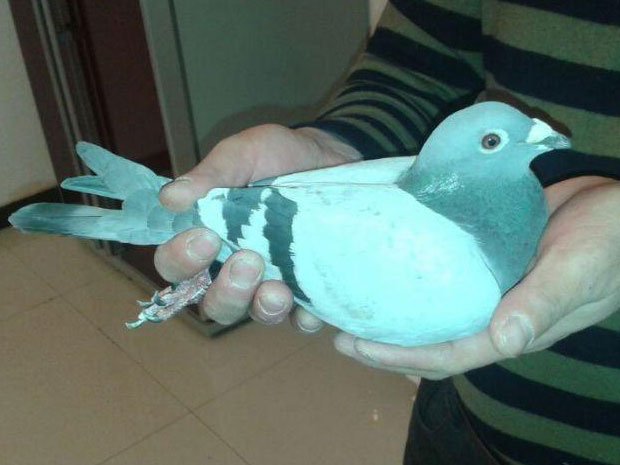 ȥ���ˣ��ؽ�������������ھ�(ͼ)