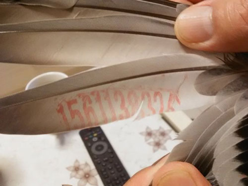 ��˸��£������զ��ϵ��ȡ�أ�(ͼ)