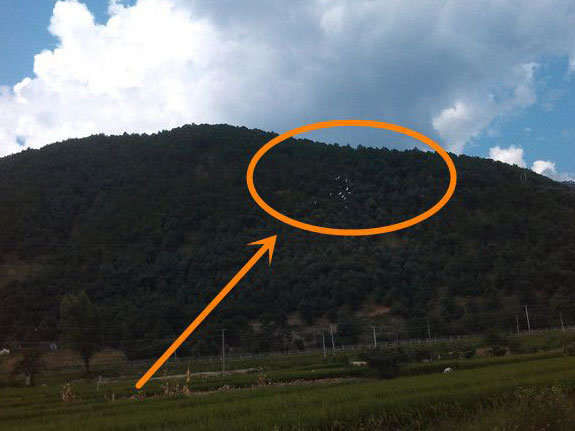 ��������ѵ��10����(ͼ)