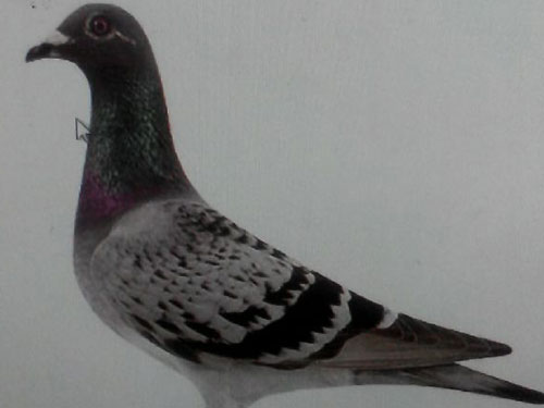 ̫�ݣ����뱻��������š���(ͼ)