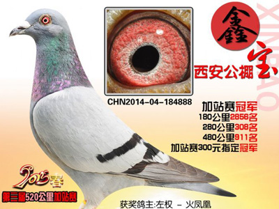 �ݷ�����������ɽ�����˸���