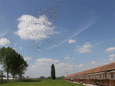 ����ʱ��Ӣ�����׹ش��� �й����ѱ���ƽƽ(ͼ)