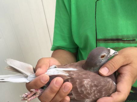 ���컪úҵ���룺������������(ͼ)