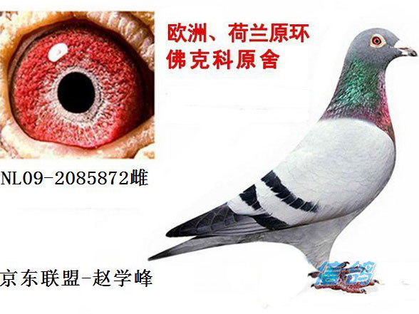 �Ҿ��������� ��������Ҳ��Ҫ(ͼ)