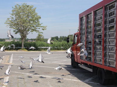 ����ʱ��Ӣ������أ��й������ۺ���ǰʮ