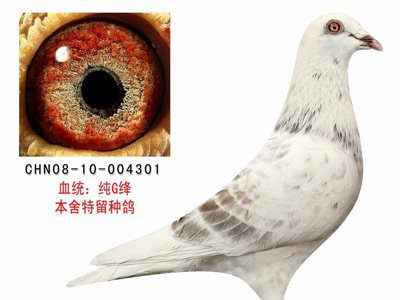 Ц̸�Ÿ롰��ä֢��