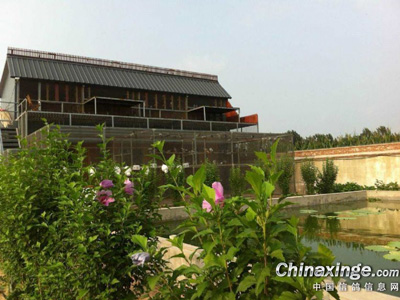 ��ɫ���������ĸ���(ͼ)