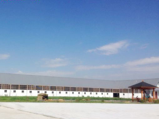 ѡ��ƽ����ߣ�ʵ�ؿ������͹���(ͼ)