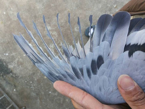 ������룺��һ���¼����