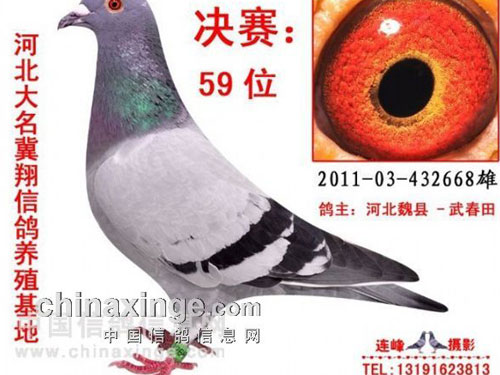 �����룺�Ұ�ϣ�������ڹ���(ͼ)