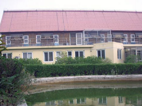 �Ϻ�����ǰ�����������Ͷ�(ͼ)