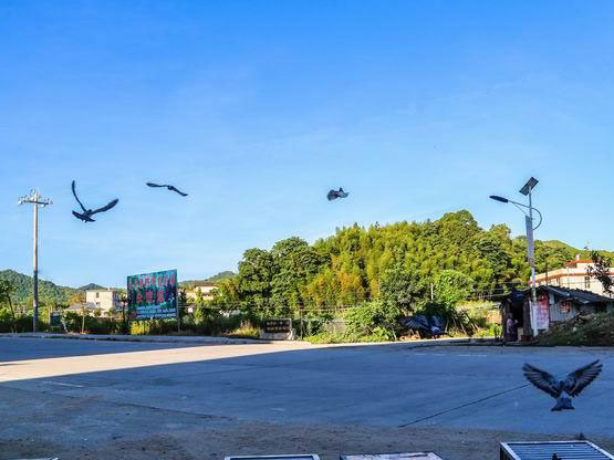 ����̨�硰�յ��ޡ�֮ǰѵ�� 