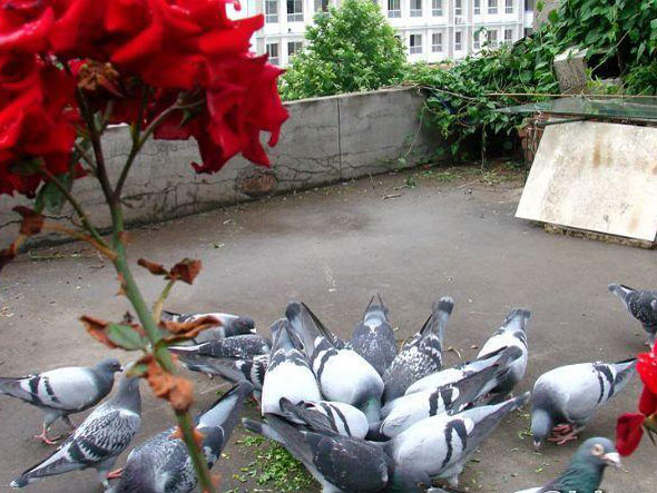 �ͻ�Ʒ��������(ͼ)