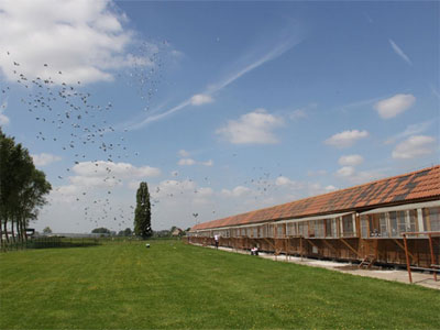 ����ʱ�������ص��չ鲻������ �й����Ѷ�12��