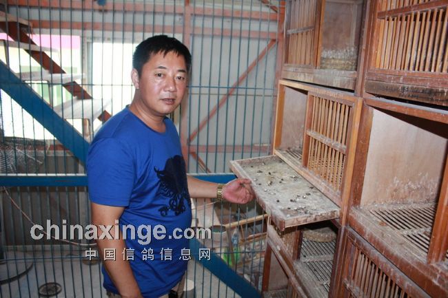 һ���õ�һ�������ӣ�ר���й�ӱ�����Ӹ��������