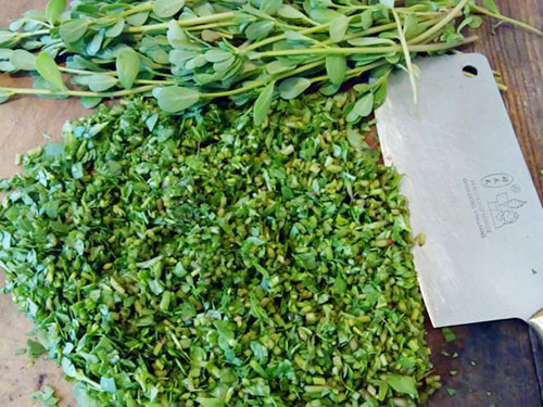 ����ι�ˣ������ȸ��ǰ���(ͼ)