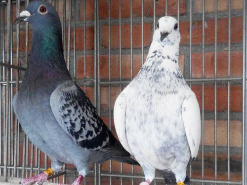 �ҾͰ���Щ������(ͼ)