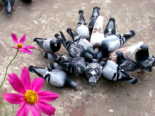 �����͸� ����ʤ��(ͼ)