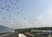 ����ǿ���ҷ�Ҫ��ѧ������ͼ��