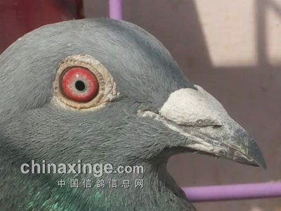 ����ʶ�롪������֮��