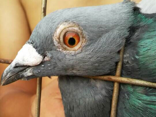 �����̡��Դ��ٹ�룿(ͼ)