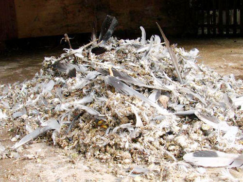 ���𼾣�ÿ��ɨһ�Ѹ��(ͼ)