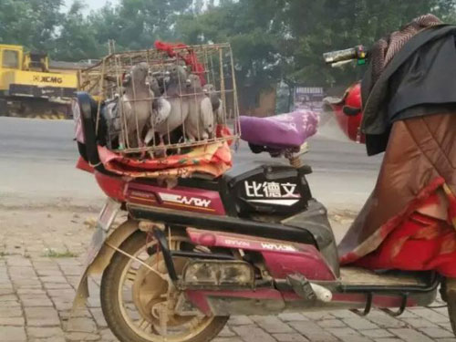 ������ѵ��11����ȫ����(ͼ)