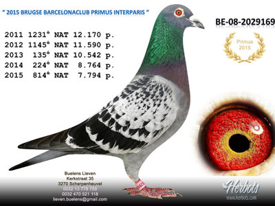 2015�������Ǽ��Ÿ�������δ��ǰ��(ͼ)