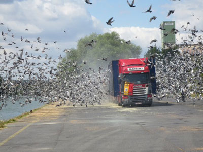 ���һս�� ����ʱ�ŷ�1.8�����Ÿ�(ͼ)