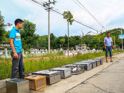 �羰�续��̨�����ѵ��31����(ͼ)