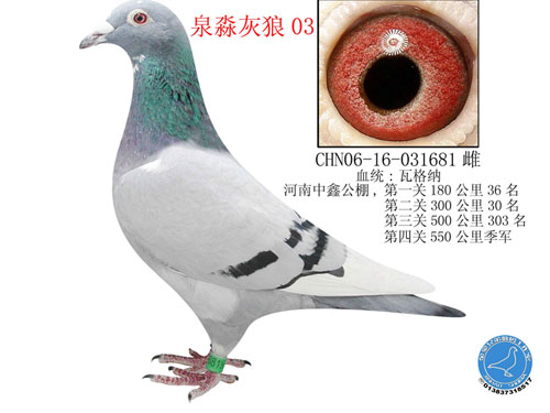 �ָ롰���ǡ����Ӳ���Ⱥ����