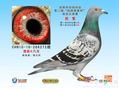 ������ò��� �Թ���֪��(ͼ)