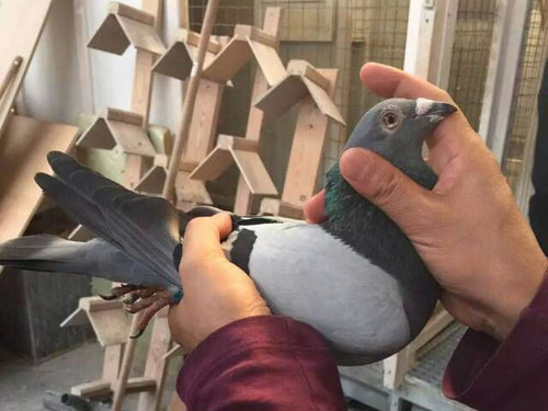 15��KBDB������ȫ�������ھ�(ͼ)