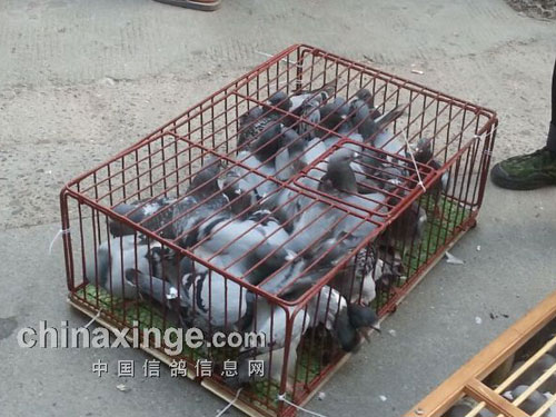 �ظ��30������ѵ�������(ͼ)