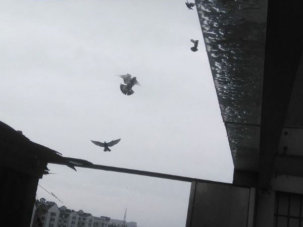 �����조��ѵ��С��(ͼ)