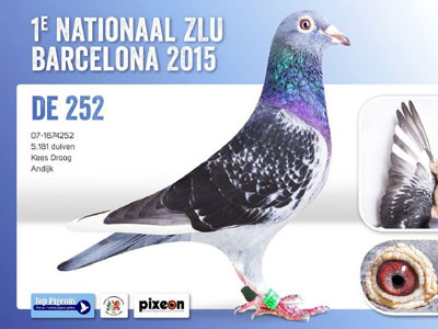 ŷ�޳�������������� ����ȫ���ھ�����(ͼ)