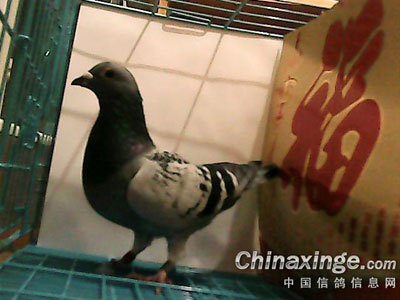 3���ָ� �����׸�ȫ����(ͼ)