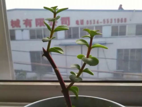 �󻧡����벻Ҫ˵���Ը����ˡ�