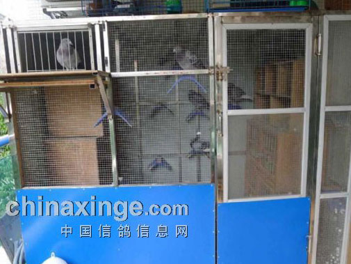 ���¾��ģ�ֻ�����벻���ָ�(ͼ)