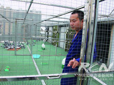 ְҵ����Ա������Ϊ������������������