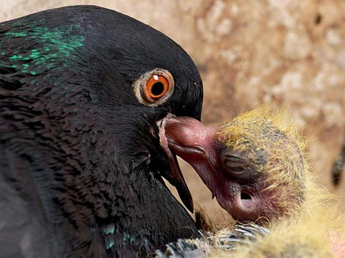 ���ظ��ף������Ǿ����� ���ܳ� 