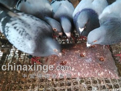 ������̸�����ֿ��Գ��ɼ��󸶿���