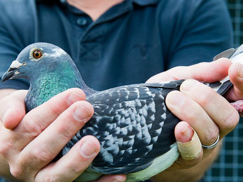 ����ʱ���յ���1.4����ھ���¯(ͼ)