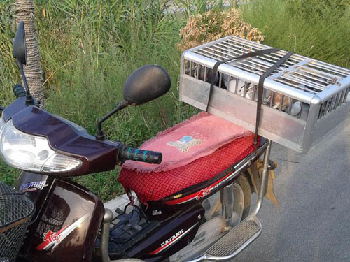 �������������Ħ��ѵ��ȥ(ͼ)