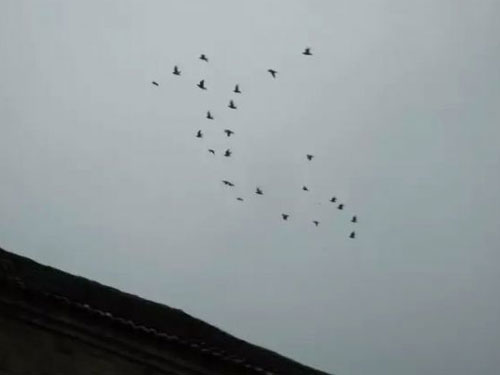 С���мҷ�1Сʱ(ͼ)