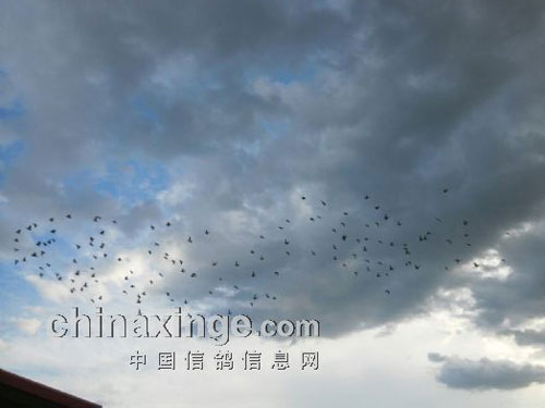 ��ս�����ڡ����족(ͼ)