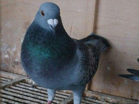 �ҵġ��������ָ�(ͼ)