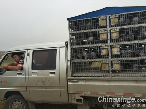 ѵ����·�������֡��͸� ˾��Ա����(ͼ)